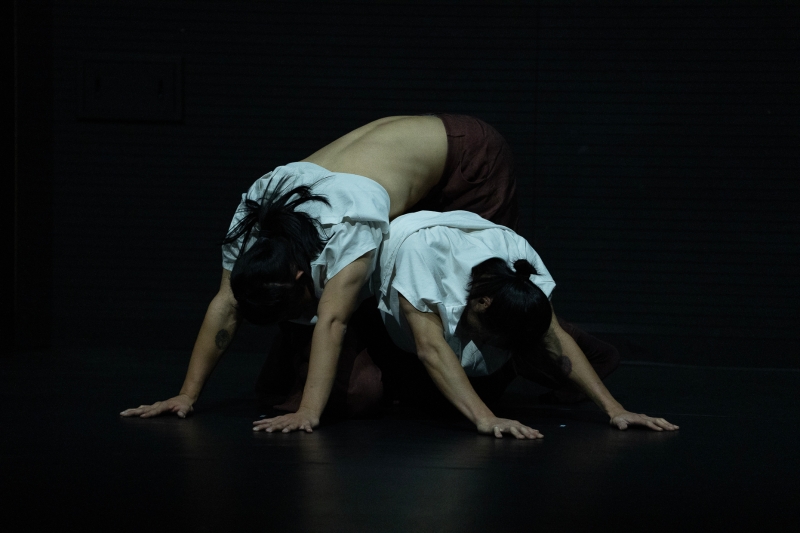 身體不止參與2025首爾國際編舞藝術節（SICF）作品展演交流計劃｜身體不止｜國藝會補助成果檔案庫